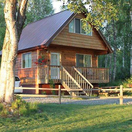 Susitna River Lodging, Riverside Cabins Talkeetna Exteriér fotografie