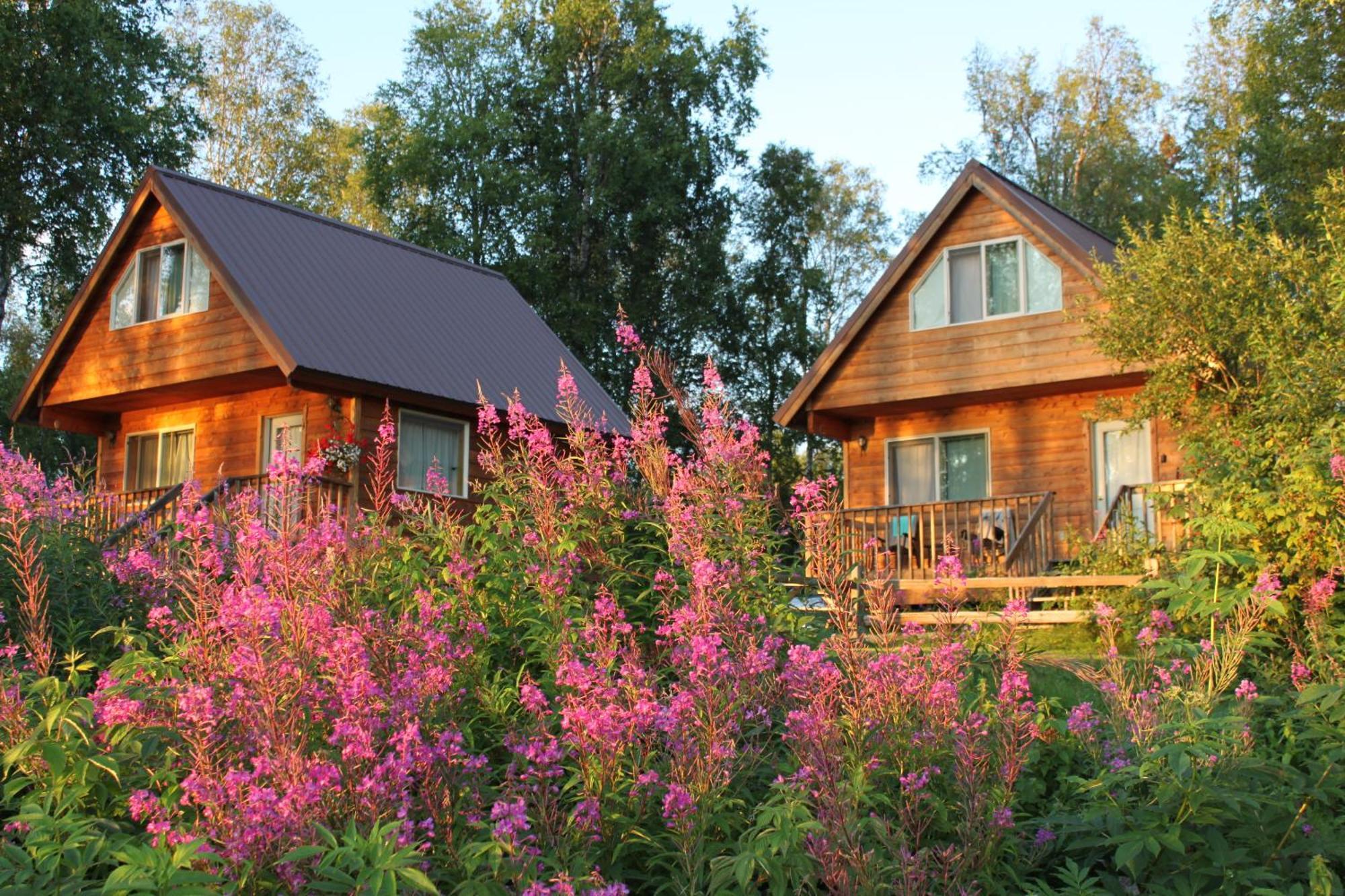 Susitna River Lodging, Riverside Cabins Talkeetna Exteriér fotografie