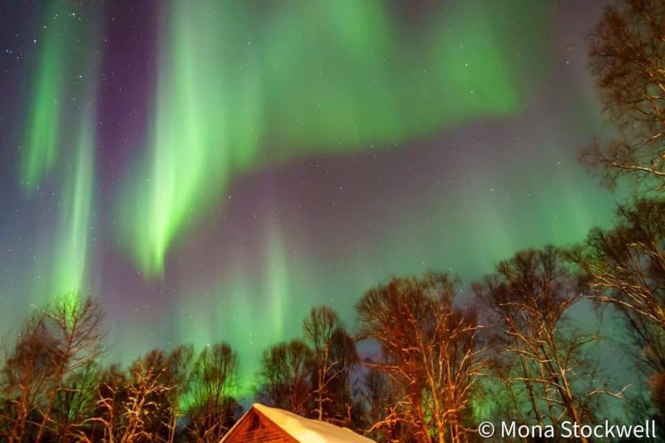 Susitna River Lodging, Riverside Cabins Talkeetna Exteriér fotografie